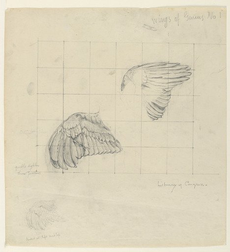 Study for "Genius," "The Arts," Library of Congress, Washington D.C.