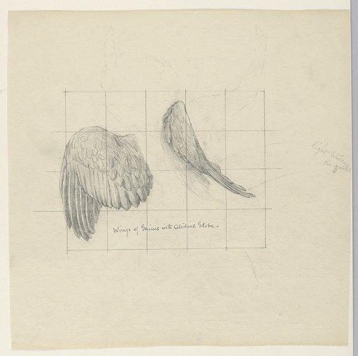 Study for "Mathematics," "The Sciences," Library of Congress, Washington D.C.