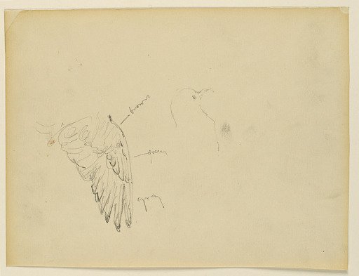 Study for "The Beneficence of the Law," Essex County Courthouse, Newark, NJ
