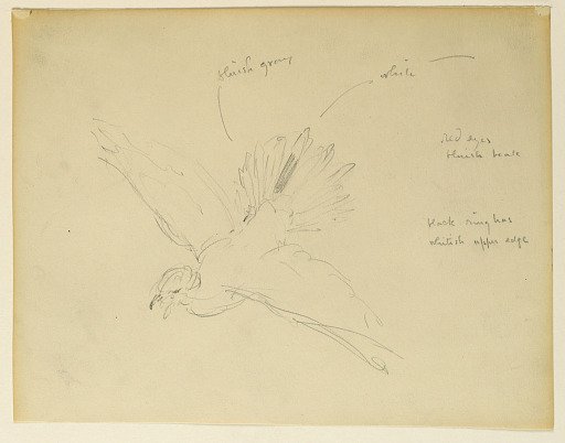 Study for "The Beneficence of the Law," Essex County Courthouse, Newark, NJ