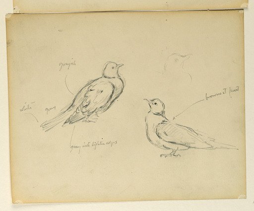 Study for "The Beneficence of the Law," Essex County Courthouse, Newark, NJ