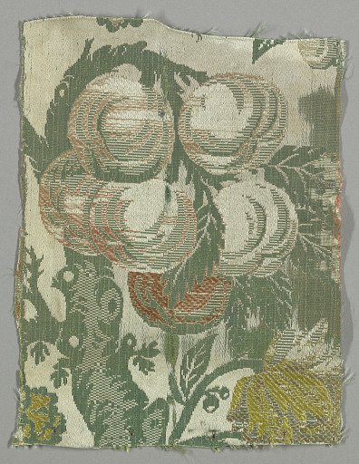 Fragment