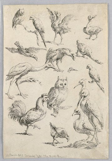 Assortment of Birds, from the "Recueil de differentes études d'animaux..."