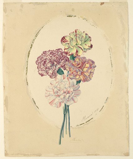 A bunch of four carnations