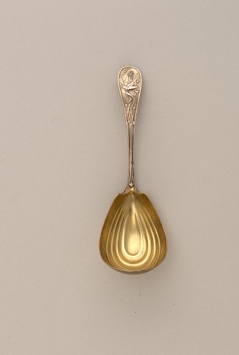 Tea Caddy Spoon