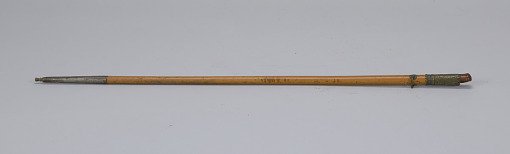 Cane