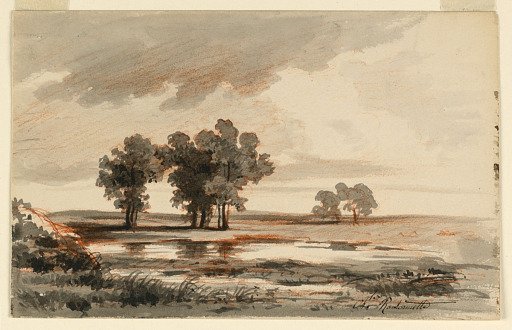 Landscape