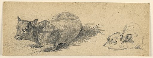 Study of a Young Bull Lying in a Meadow