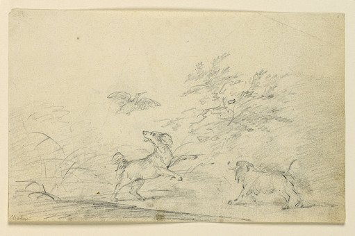 Study of Two Spaniels Chasing a Bird