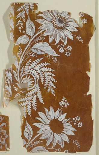 Floral field and border
