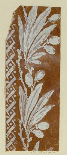Floral field and border