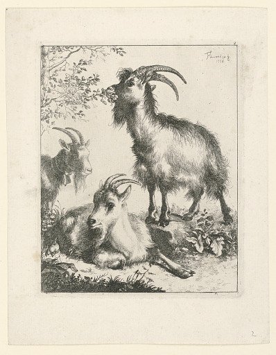 Three Goats