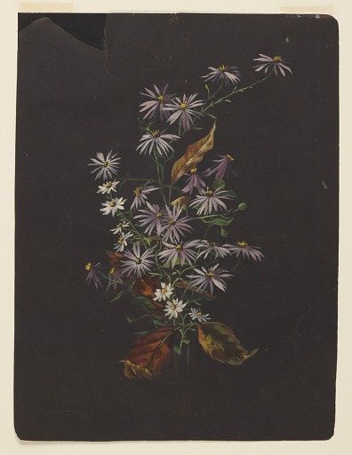 Study of an Autumn Bouquet