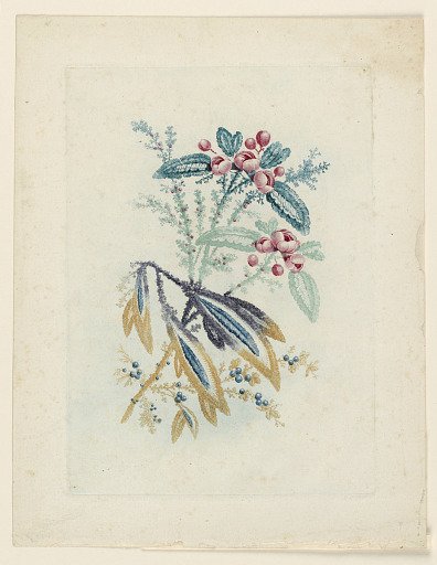 Fantastic Flower Motif from Nouvelle Suitte de Cahiers de Fleurs Idéales