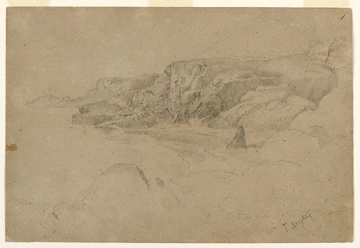 Study from Nature