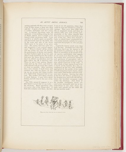 Excerpt from "An Artist Among Animals" from Scribner's Magazine (XIV, No. 6, December 1893, p. 759)