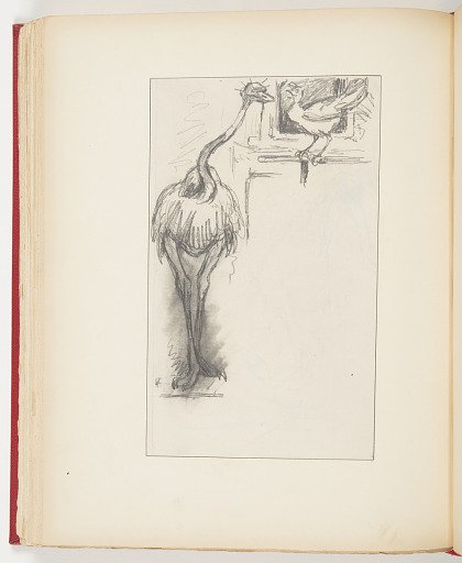 Sketch for “The Ostrich and the Hen” in “Comic Fables, Out of This World”