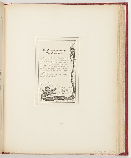 The Chimpanzee and the Boa Constrictor