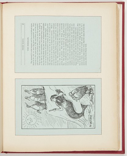 The Mermaid