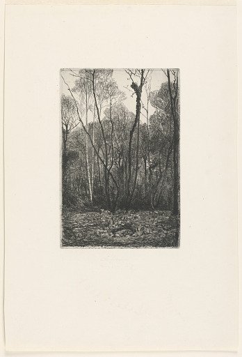 Landscape with trees