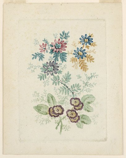 Fantastic Flower Motif from Nouvelle Suitte de Cahiers de Fleurs Idéales