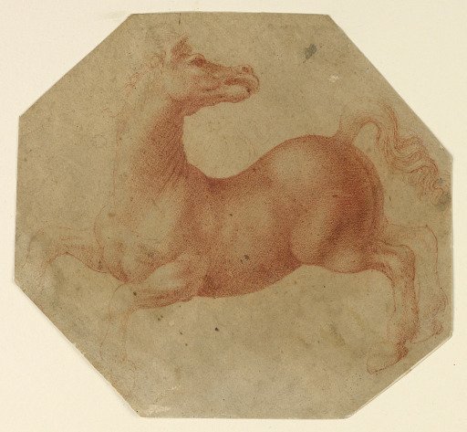 Study of a Rearing Horse after Leonardo da Vinci