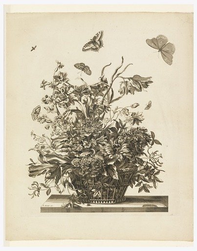 Plate 10, from set of Flowers in a Basket