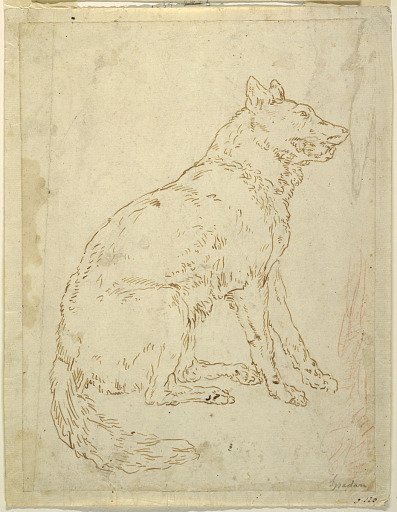 Study of a Sheepdog