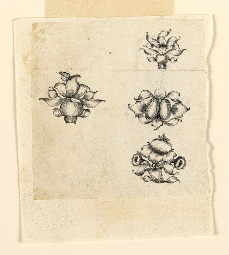 Design for four pins; leaves, flowers