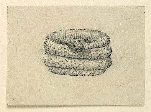 Design for a bracelet