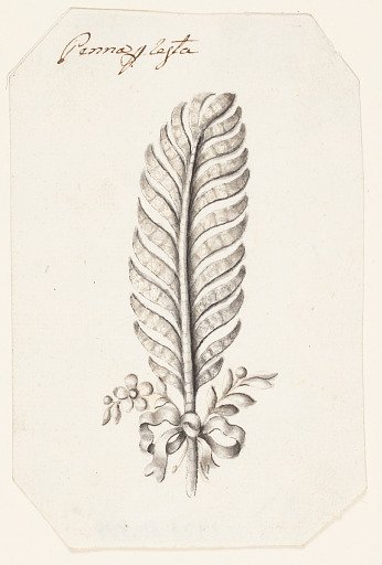 Design for a Feather Headdress