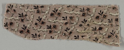 Fragment