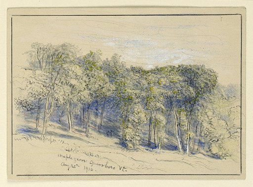 Study of Maple Grove, Greensboro, Vermont
