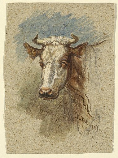 Head of a Cow, Étretat