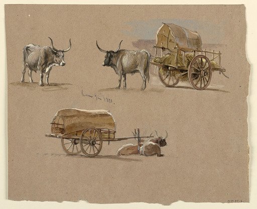 Oxcarts, Rome, Italy