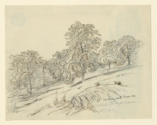 Landscape Sketch, Hyde Manor, Vermont