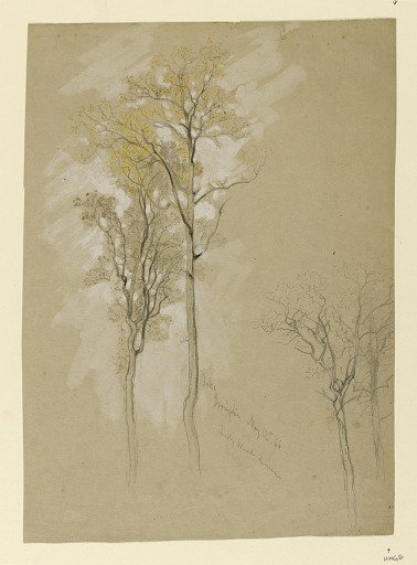 Oaks, Lady Wood Lane, Irvington