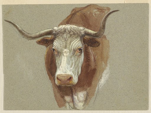 Head of a Cow or Ox