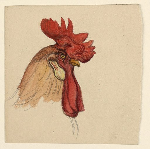 Head of a Rooster
