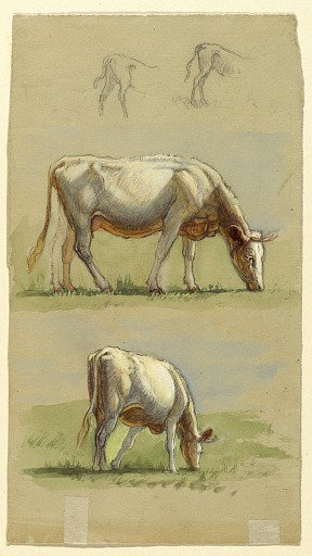 Cattle, Two Grazing Cows and the Backs of Calves