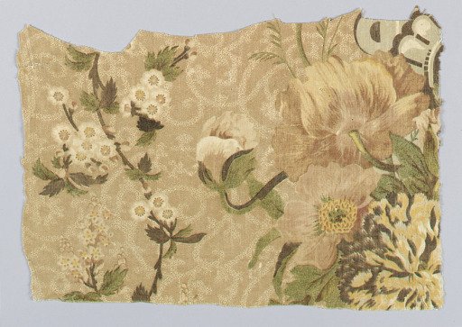 Fragment