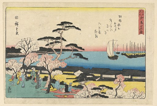 Viewing of the cherry blossoms
