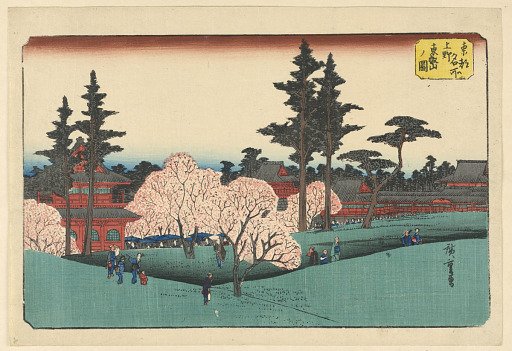 Cherry Blossom Viewing