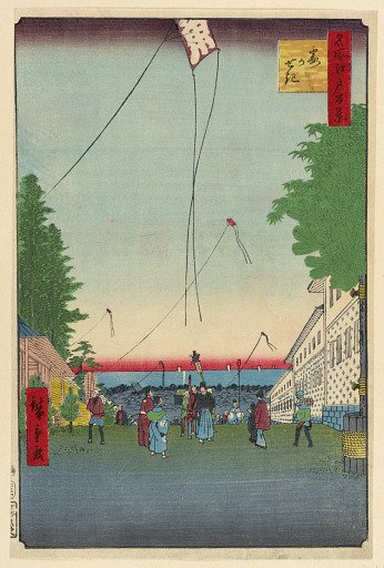Scene of Flying Kites