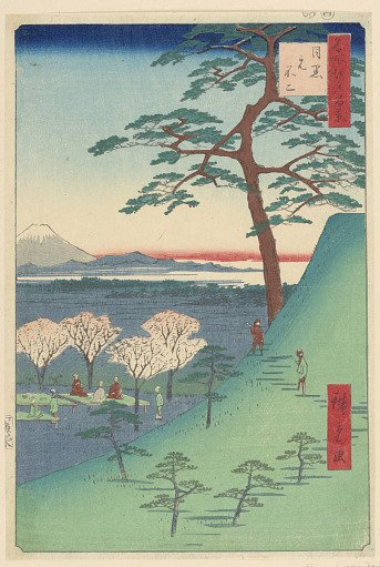 Viewing of Cherry Blossoms