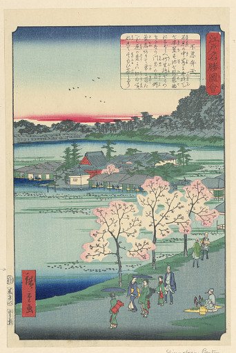 Cherry Blossom Viewing