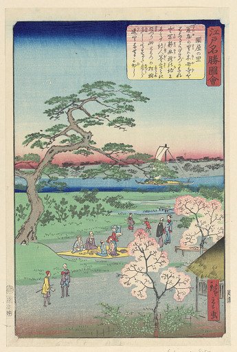Cherry Blossom Viewing
