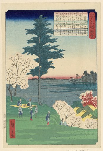 Cherry Blossom Viewing
