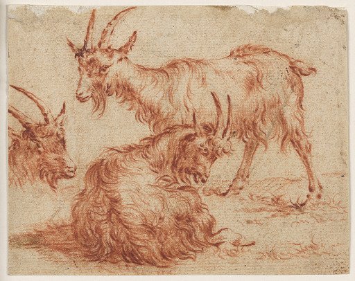 Three Goats, after an etching from Berchem's "Animalia" (Animals) [ Animalia ad vivum delineata et aqua forti aeri impressa Studio et Arte Nicolai Berchem]
