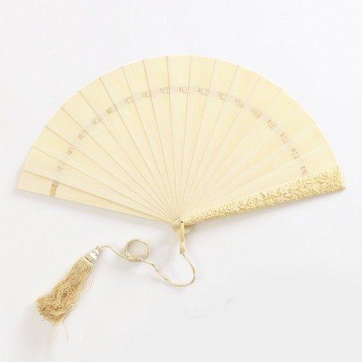 Fan and case